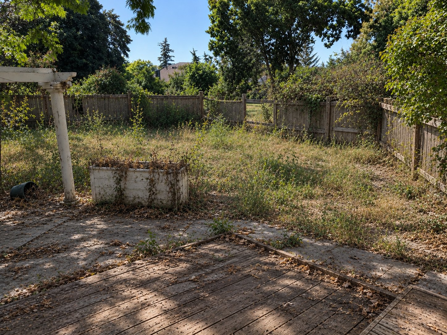 The same yard before: overgrown lawn, weathered deck